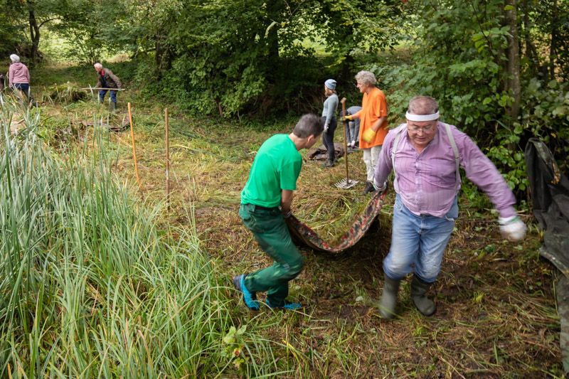 Arbeitseinsatz am Schlundweiher